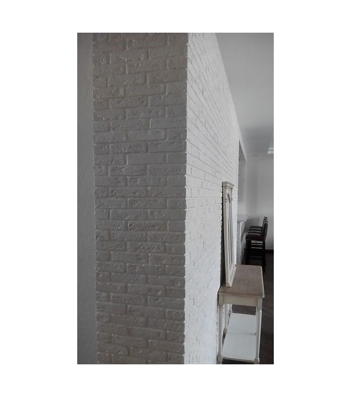Model Single Bricks "Venice" Wall Panel
