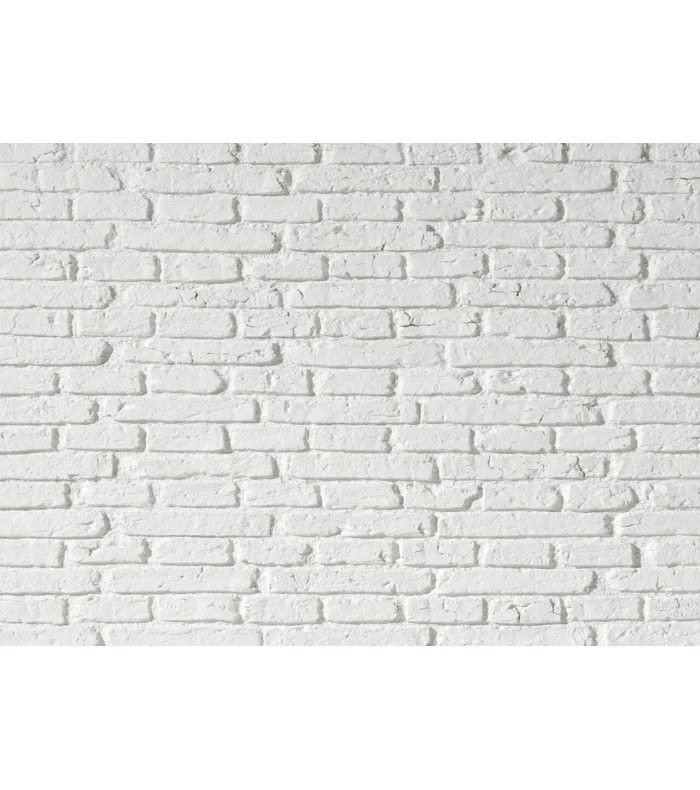 Model "Old Country Brick" Wall Panel