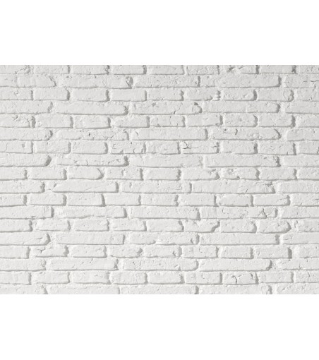 Model "Old Country Brick" Wall Panel